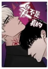 Love Is Not Real