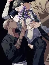 Acanthus [Zi]