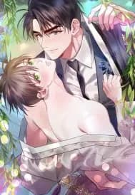 Whispers Through the Willows