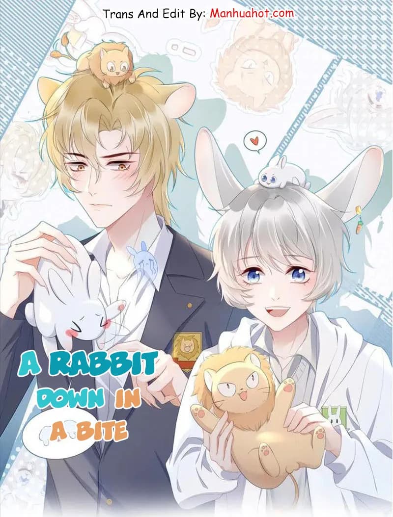 A Rabbit Down In A Bite